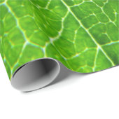 Grüne Blattbeschaffenheit Geschenkpapier (Rolleneckpunkt)