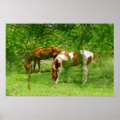 Grüne Blätter 11 x 85 Plakat (Vorne)