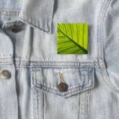 Grüne Blätter aus tropischem Blattwerk in 2 Button (Beispiel)