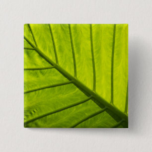 Grüne Blätter aus tropischem Blattwerk in 2 Button