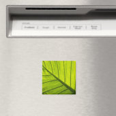 Grüne Blätter aus tropischem Blattwerk in 2 Magnet (In Situ (Geschirrspüler))