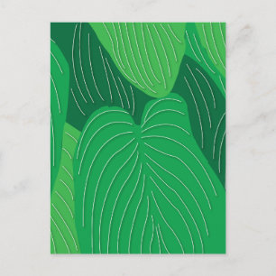 Grüne Blätter Botanik Postkarte