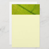 Grüne Blätter Botanische Naturfotografie Briefpapier (Vorne/Hinten)