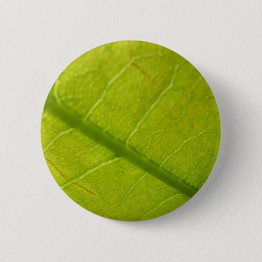 Grüne Blätter Botanische Naturfotografie Button (Vorderseite)