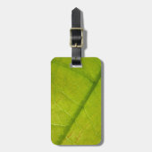 Grüne Blätter Botanische Naturfotografie Gepäckanhänger (Vorderseite vertikal)