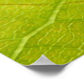 Grüne Blätter Botanische Naturfotografie Poster (Ecke)
