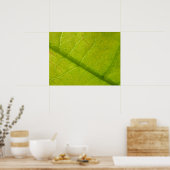 Grüne Blätter Botanische Naturfotografie Poster (Küche)