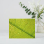 Grüne Blätter Botanische Naturfotografie Postkarte (Stehend Vorderseite)