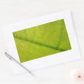 Grüne Blätter Botanische Naturfotografie Rechteckiger Aufkleber (Umschlag)