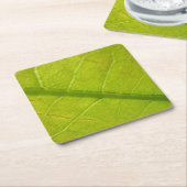 Grüne Blätter Botanische Naturfotografie Rechteckiger Pappuntersetzer (angewinkelt)