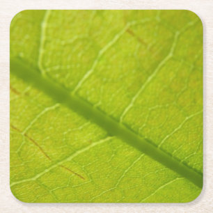 Grüne Blätter Botanische Naturfotografie Rechteckiger Pappuntersetzer