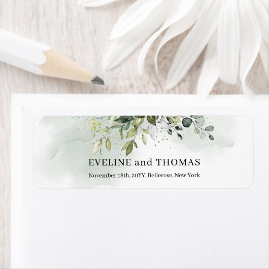 Grüne Blätter Eukalyptus Salbei (Insitu)