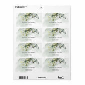 Grüne Blätter Eukalyptus Salbei (Vorne)