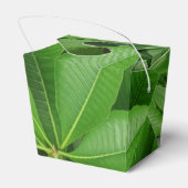 Grüne Blätter Feld "Nutzen" Geschenkschachtel (Rückseite)