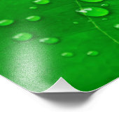 Grüne Blätter Fotodruck (Ecke)