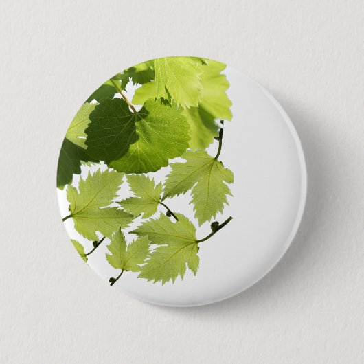 Grüne Blätter für Weintrauben Button (Vorderseite)