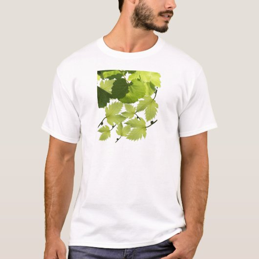 Grüne Blätter für Weintrauben T-Shirt (Vorderseite)