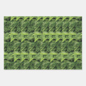 Grüne Blätter Gemüse (Vorderseite)