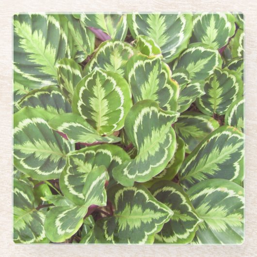 Grüne Blätter Glasuntersetzer (Vorderseite)