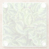 Grüne Blätter Glasuntersetzer (Rückseite)