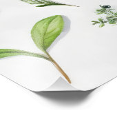 Grüne Blätter Herbarium Fotodruck (Ecke)