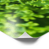 Grüne Blätter, Hintergrund, Blätter, Blätter, Blät Fotodruck (Ecke)