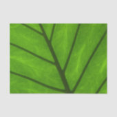 Grüne Blätter, Hintergrund, Blätter, Blätter, Blät Seidenpapier (Vorderseite)