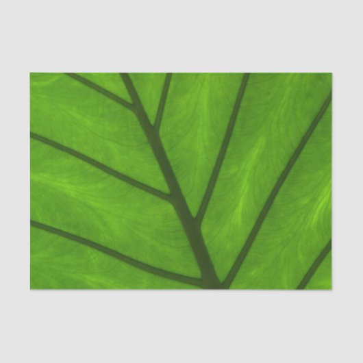 Grüne Blätter, Hintergrund, Blätter, Blätter, Blät Seidenpapier (Vorderseite)