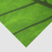 Grüne Blätter, Hintergrund, Blätter, Blätter, Blät Seidenpapier (Ausschnitt)