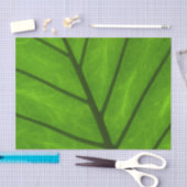 Grüne Blätter, Hintergrund, Blätter, Blätter, Blät Seidenpapier (Handwerk)