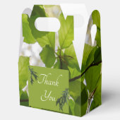 Grüne Blätter Hochzeitsgabel Gefallen Box Weiße Dr Geschenkschachtel (Geöffnet)