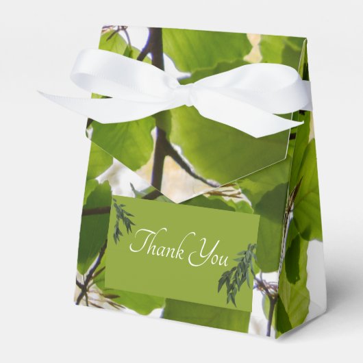 Grüne Blätter Hochzeitszelt Geschenkschachtel (Vorderseite)