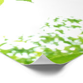 Grüne Blätter im Sonnenlicht, nah-up Poster (Ecke)