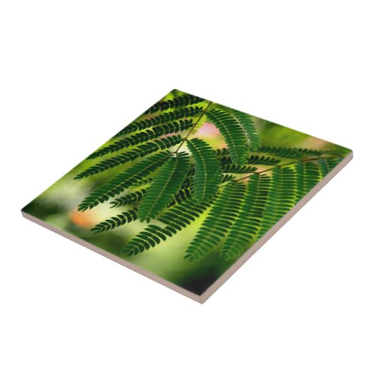 Grüne Blätter Keramik Tile Fliese (Seite)