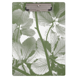 GRÜNE BLÄTTER KLEMMBRETT