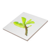 Grüne Blätter Kudu Lily Nature Feel Fliese (Seite)