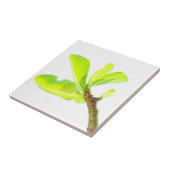 Grüne Blätter Kudu Lily Nature Feel Fliese (Seite)