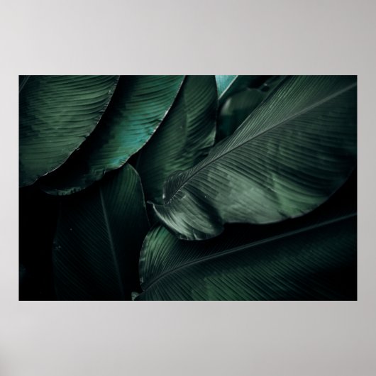 GRÜNE BLÄTTER MACRO FOTOGRAFIE POSTER (Vorne)