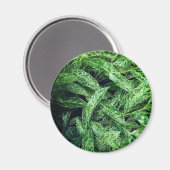 Grüne Blätter Magnet (Vorderseite/Rückseite)