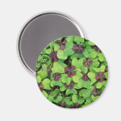 Grüne Blätter Magnet (Vorderseite/Rückseite)