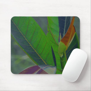 Grüne Blätter Nah Mousepad