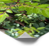 Grüne Blätter - Natur Nah-up A3-Druck Poster (Ecke)