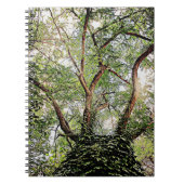 grüne Blätter Notizblock (Vorderseite)