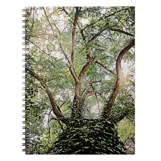 grüne Blätter Notizblock (Vorderseite)