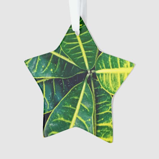 Grüne Blätter Ornament (Vorderseite)