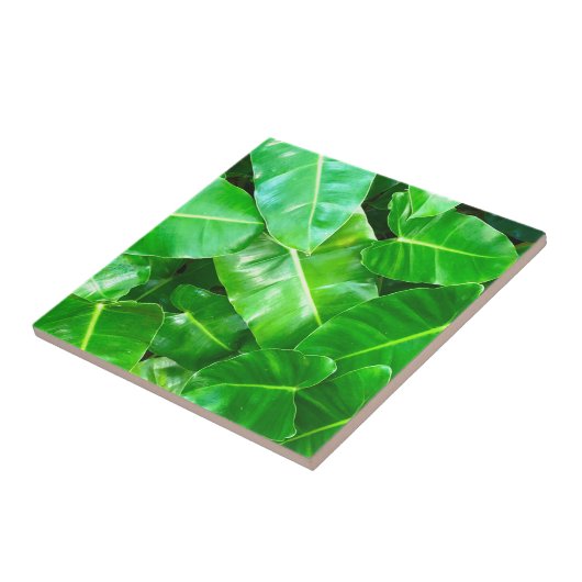 Grüne Blätter Palmblättriger Dschungel Fliese (Seite)