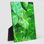 Grüne Blätter Palmblättriger Dschungel Fotoplatte (Seite)