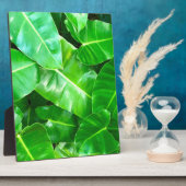 Grüne Blätter Palmblättriger Dschungel Fotoplatte (Seite)