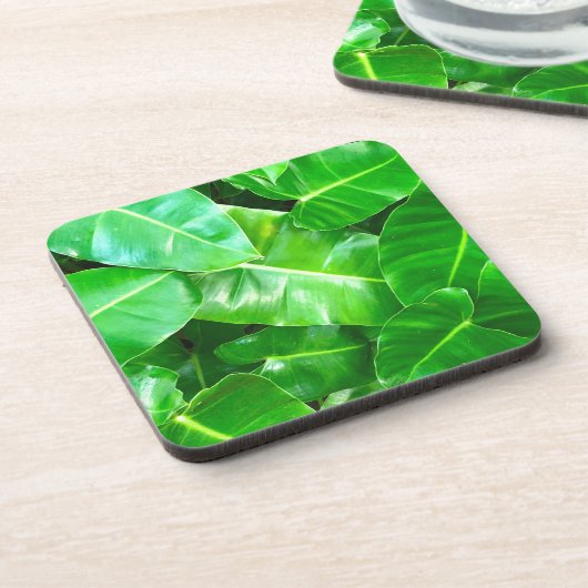 Grüne Blätter Palmblättriger Dschungel Getränkeuntersetzer (Linke Seite)