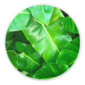 Grüne Blätter Palmblättriger Dschungel Keramikknauf (Vorderseite)